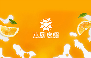 某良橙——益阳LOGO设计
