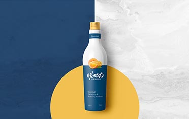 益阳某动力 品牌设计
