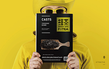 益阳绯茶品牌设计